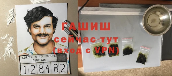 сатива Алзамай