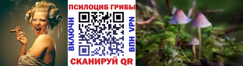 ссылка на мегу tor  Ивантеевка  Галлюциногенные грибы мухоморы 