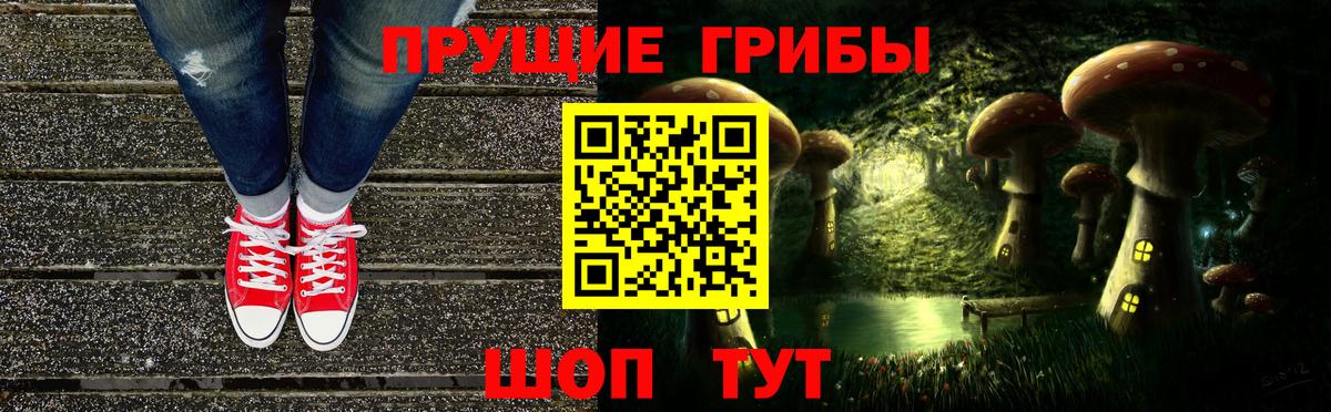 Ивантеевка  Псилоцибиновые грибы Psilocybe  Вход с VPN 