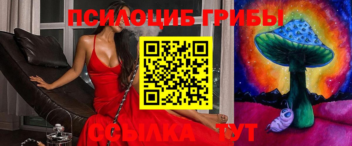 Псилоцибиновые грибы Cubensis Ивантеевка